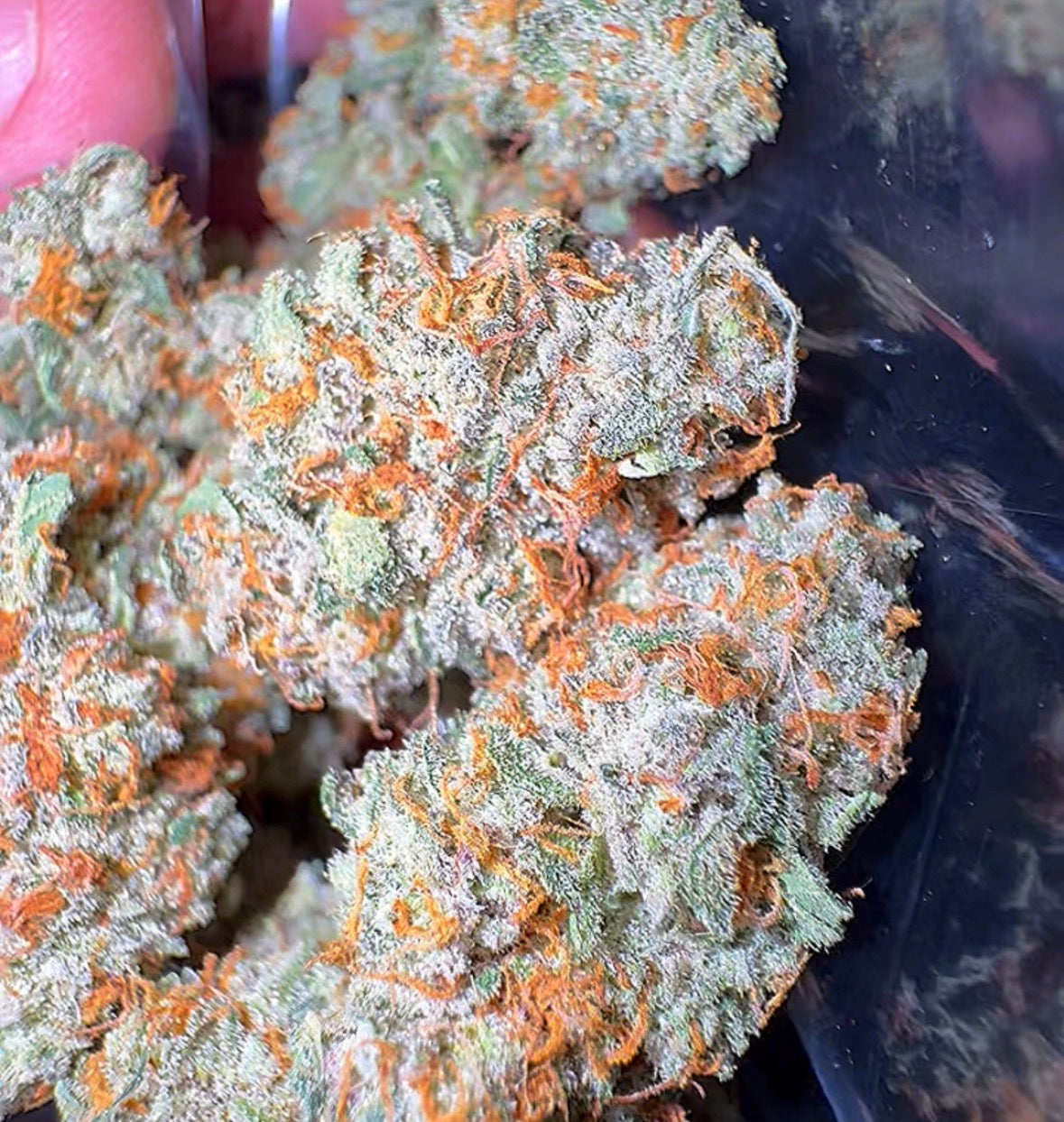 Cream Puff #14 CBD Flower