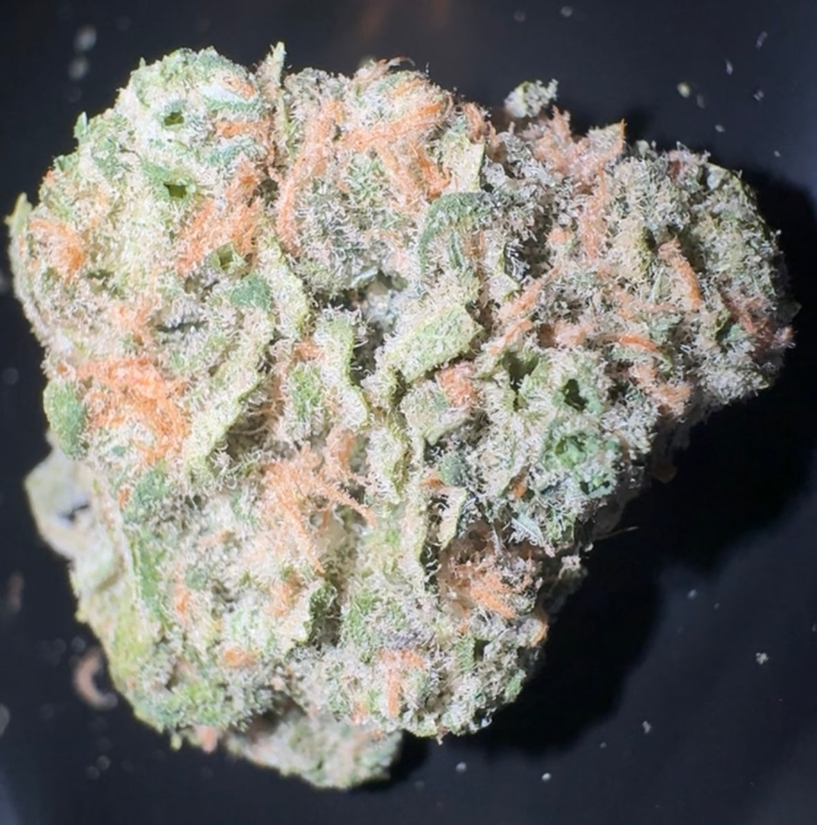Blue Dream THCA Flower