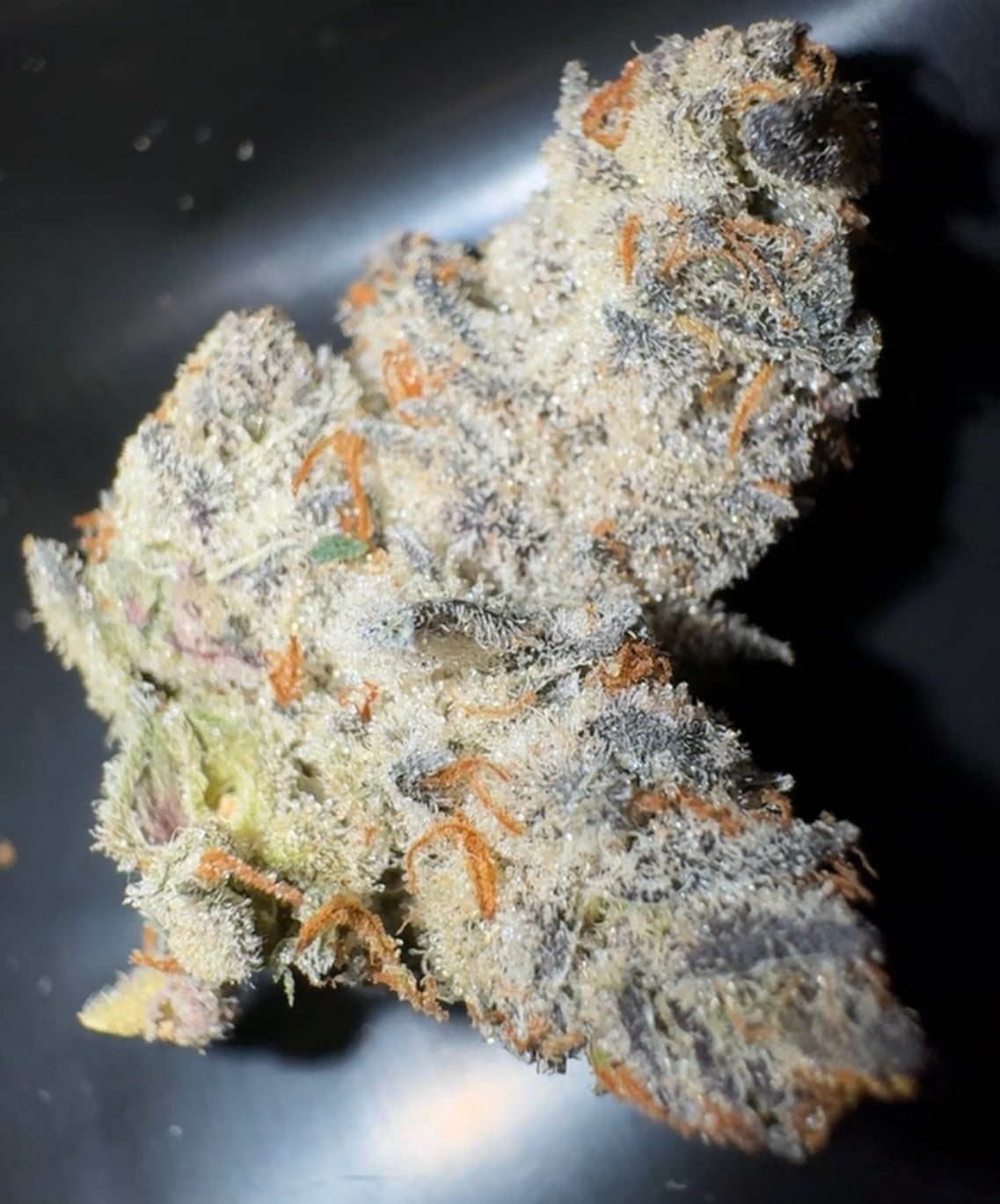 Oreoz THCA Flower