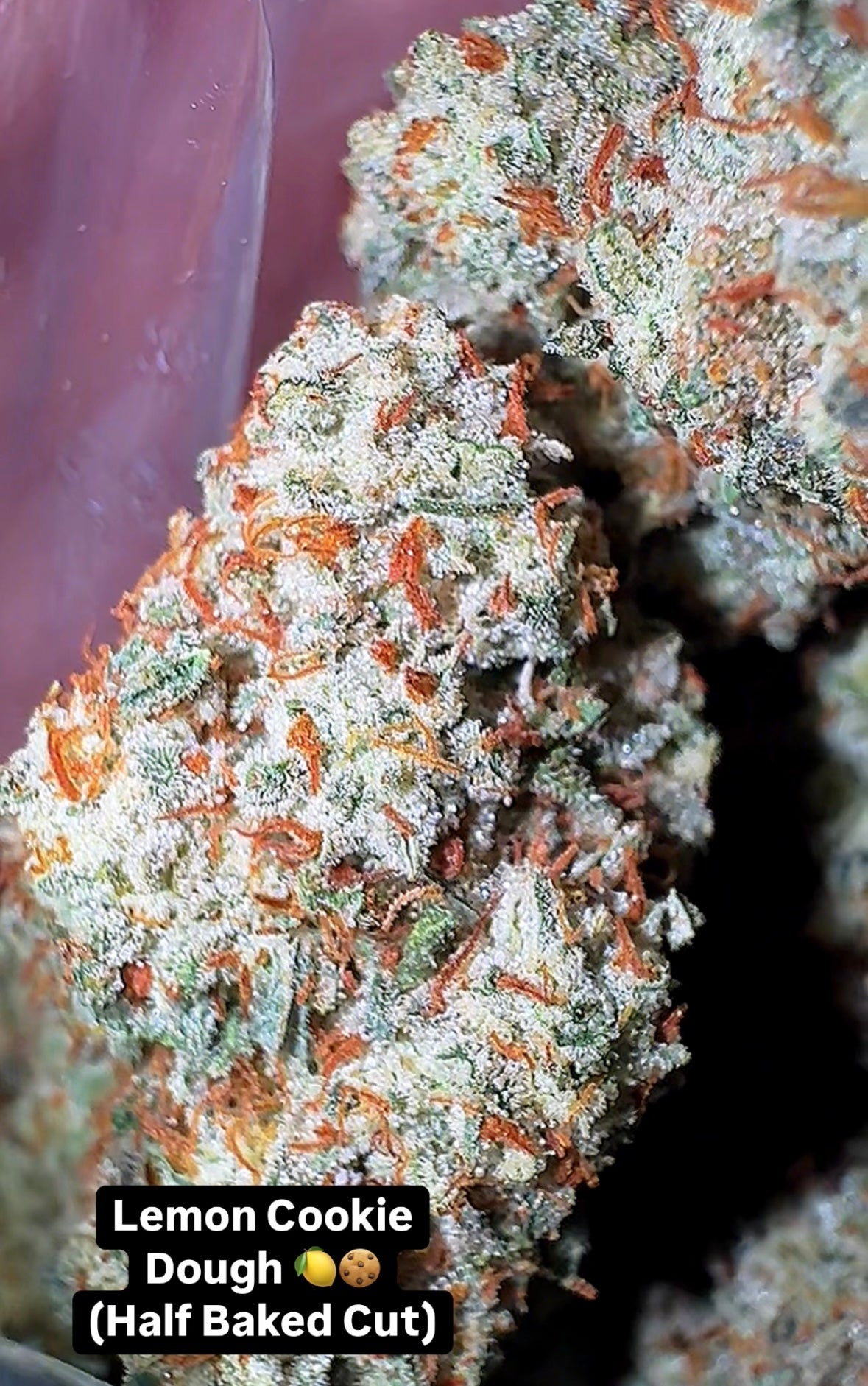 Lemon Cookie Dough (Half Baked Cut) CBD Flower