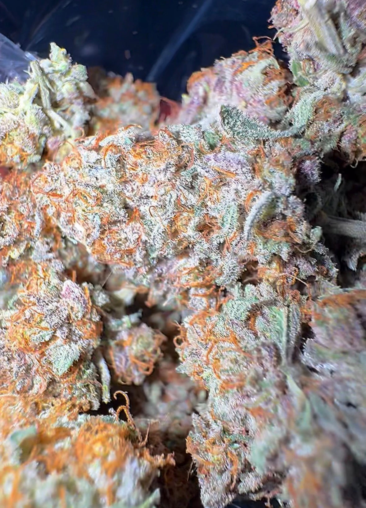 Allium OG #9 CBD Flower
