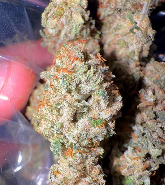 Fyre OG F2 #3 (GulfCoast OG) CBD Flower