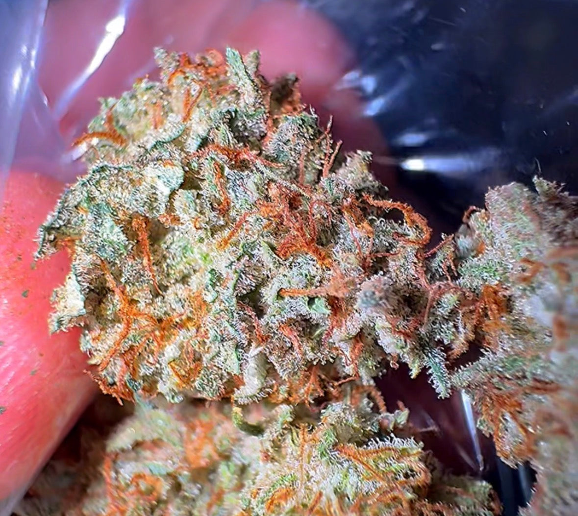 Allium OG #8 CBD Flower
