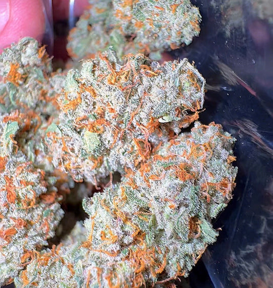 Cream Puff #14 CBD Flower