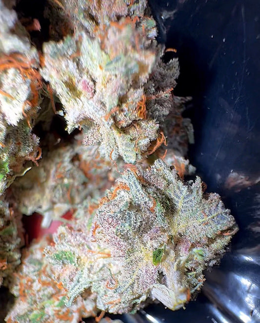 Fyre OG F2 #18 CBD Flower