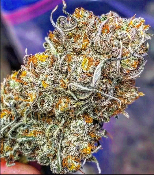 Purple Haze CBD Flower