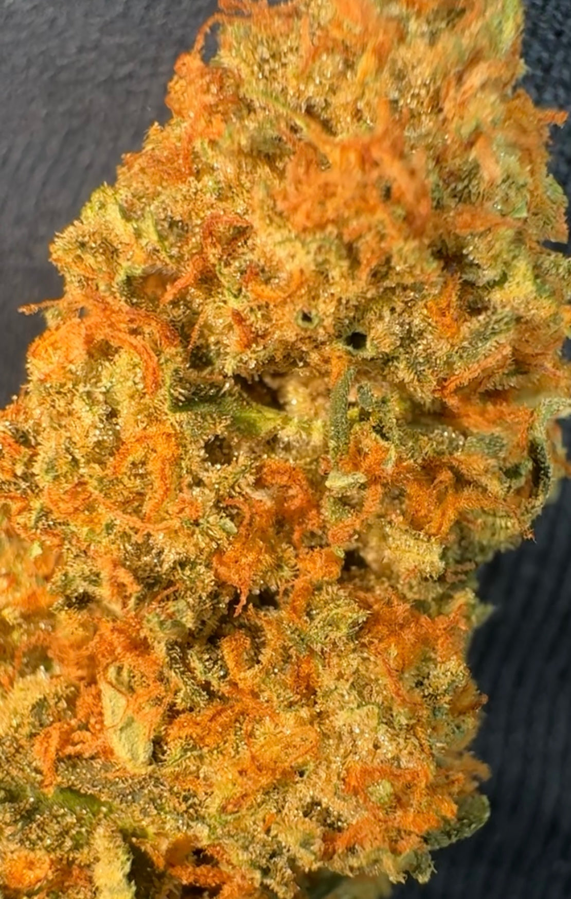 Gassed Up CBD Flower