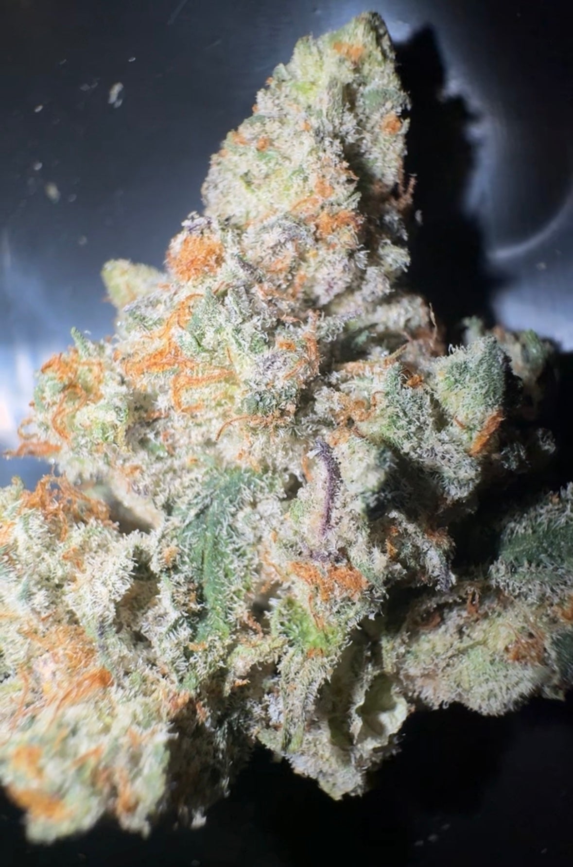 Unicorn Candy THCA Flower